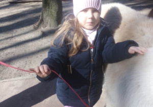 Karmienie i tulenie alpak