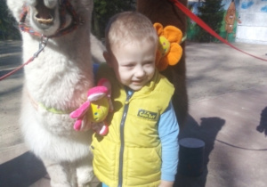 Karmienie i tulenie alpak