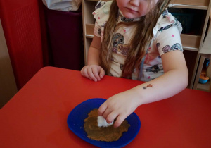 eksperymenty przy użyciu tych przypraw